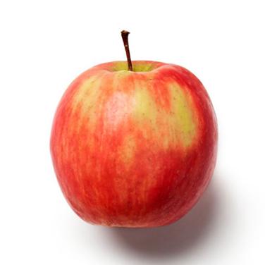 apple icon
