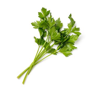firmly packed flat-leaf parsley leaves icon